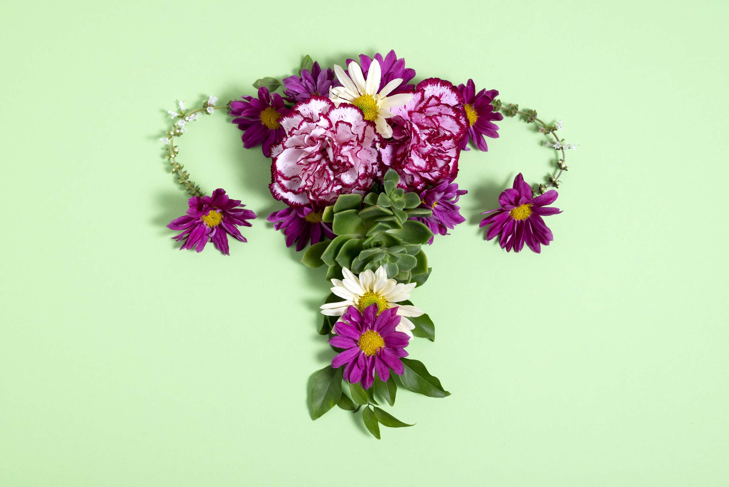 Image by pikisuperstar on Freepik