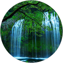 Sofia Sakka profile picture